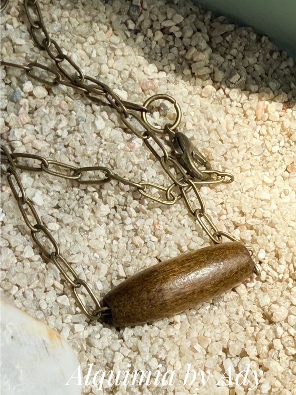 Alquimia Gold-Tone Chain Necklace with Brown Wood Bead